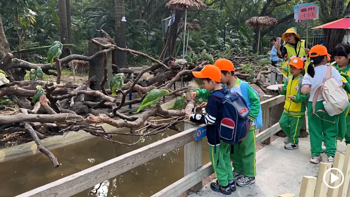 Chimelong Birds Park