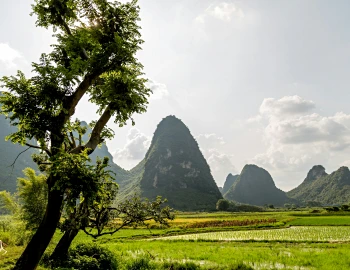 Yangshuo Guide