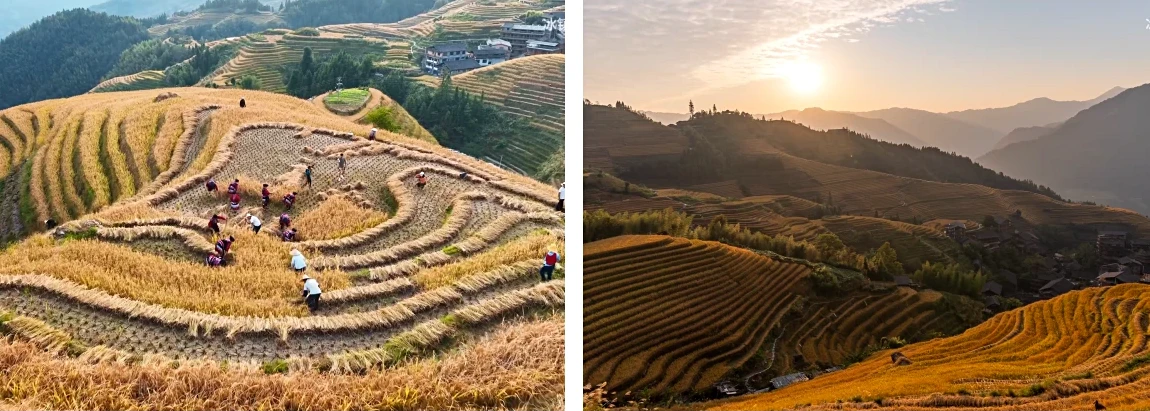 Longji