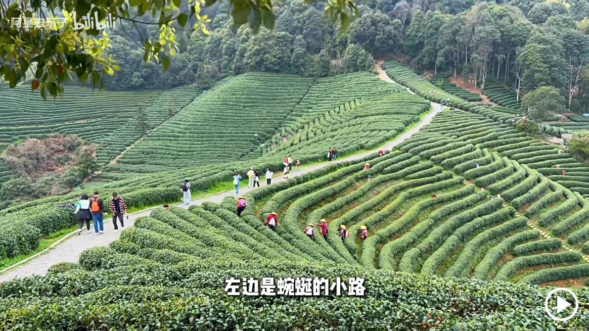 longwu
