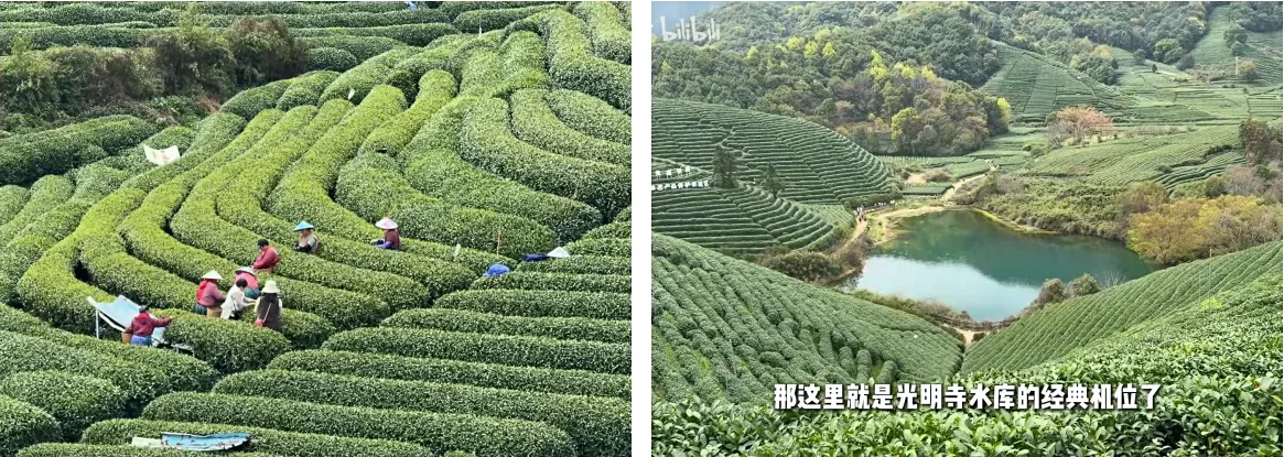 longwu