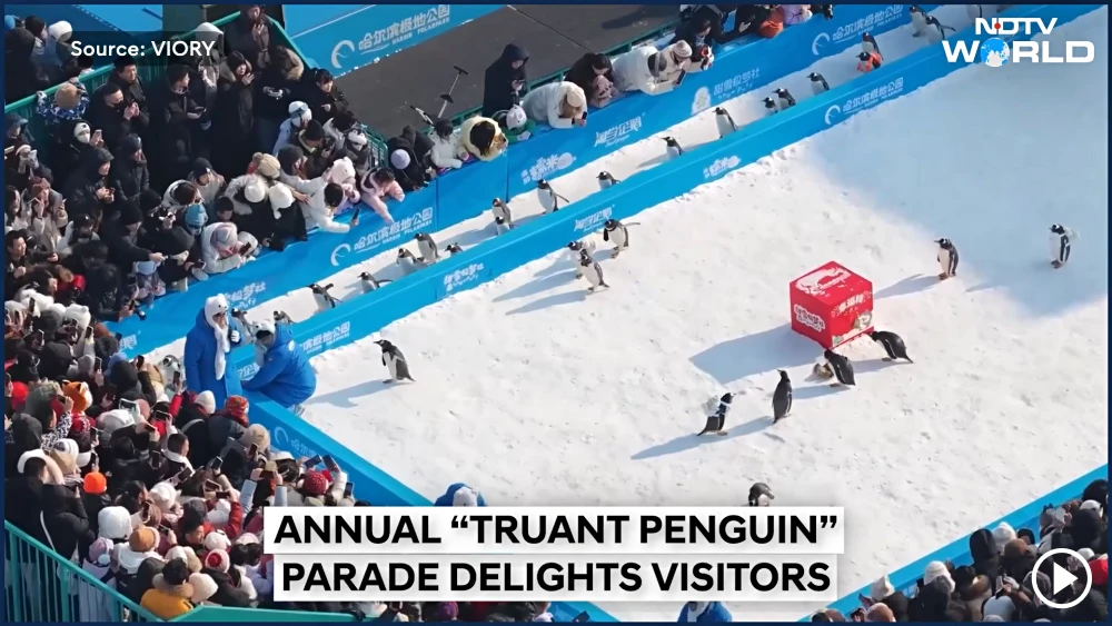 Harbin Polarland