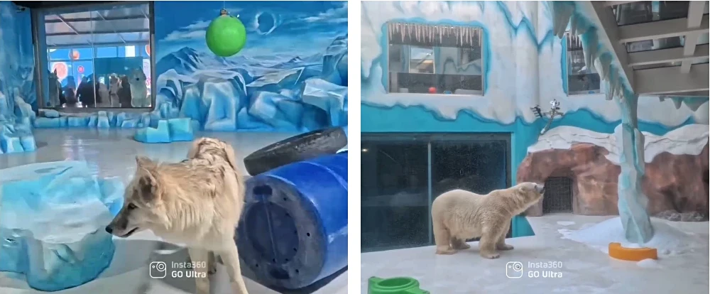 Harbin Polarland