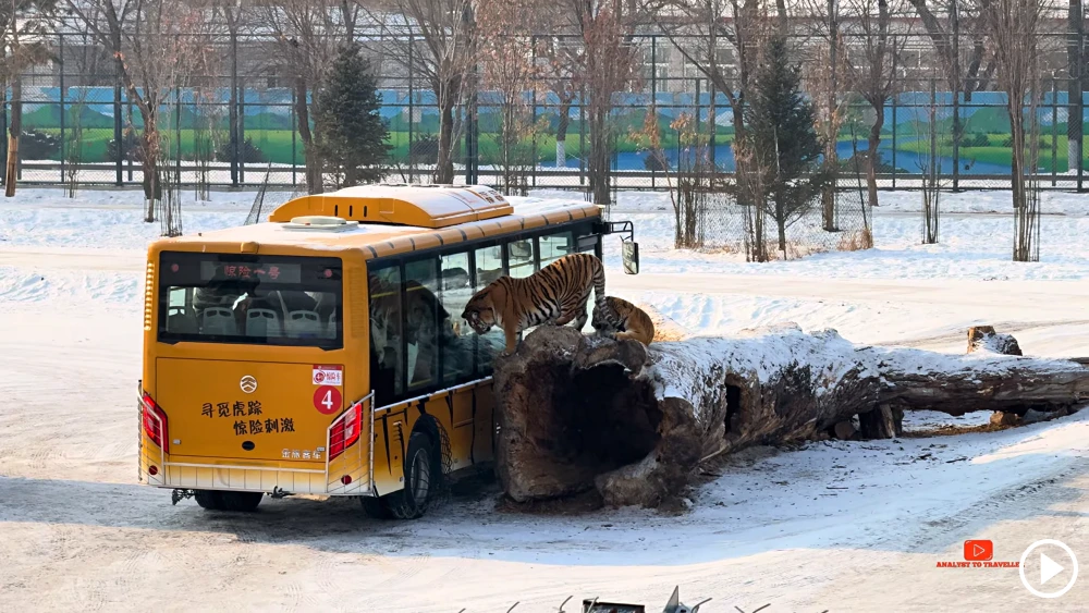 Tiger Park