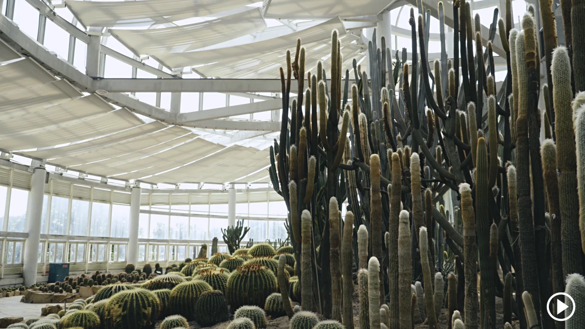 Xiamen Botanical Garden