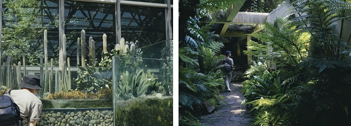 Xiamen Botanical Garden