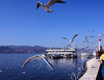 Kunming Guide