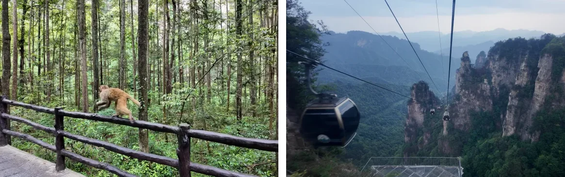 Zhangjiajie National Forest Park