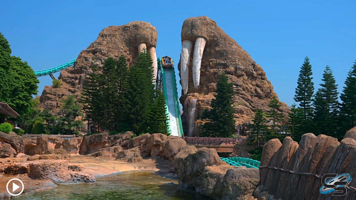 Walrus Splash