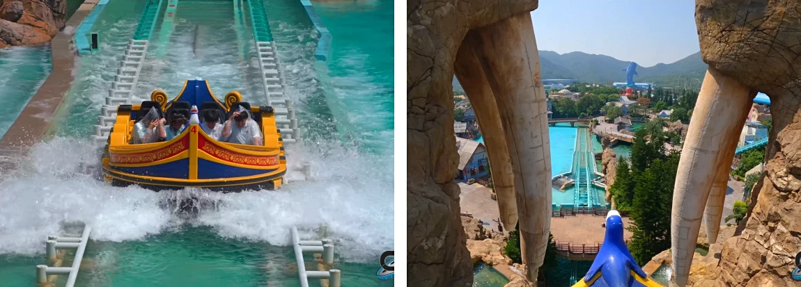 Walrus Splash