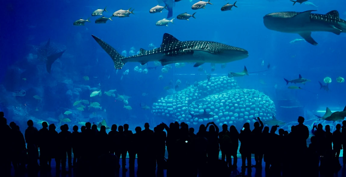 Chimelong Ocean Kingdom