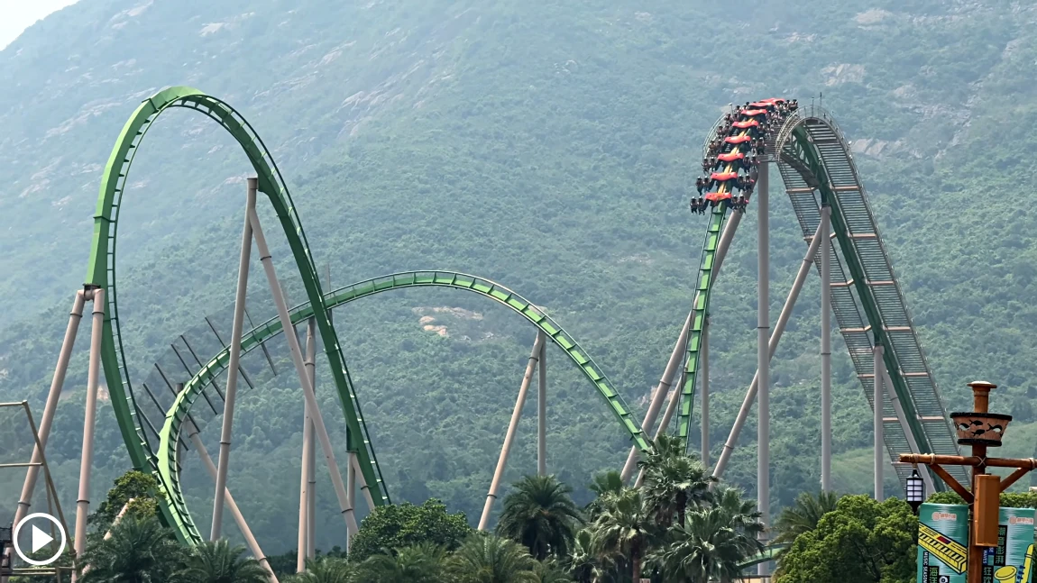 Parrot Coaster