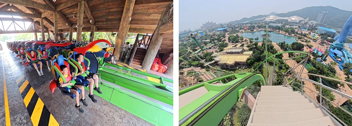 Parrot Coaster
