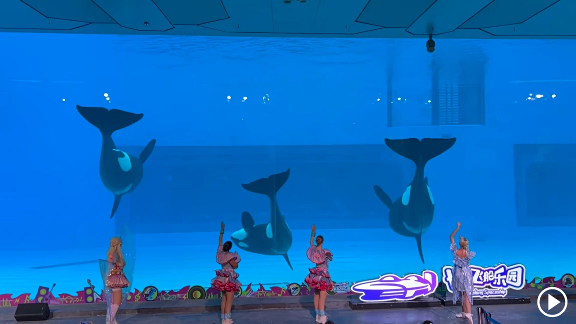 Deep Sea Killer Whale Encounter