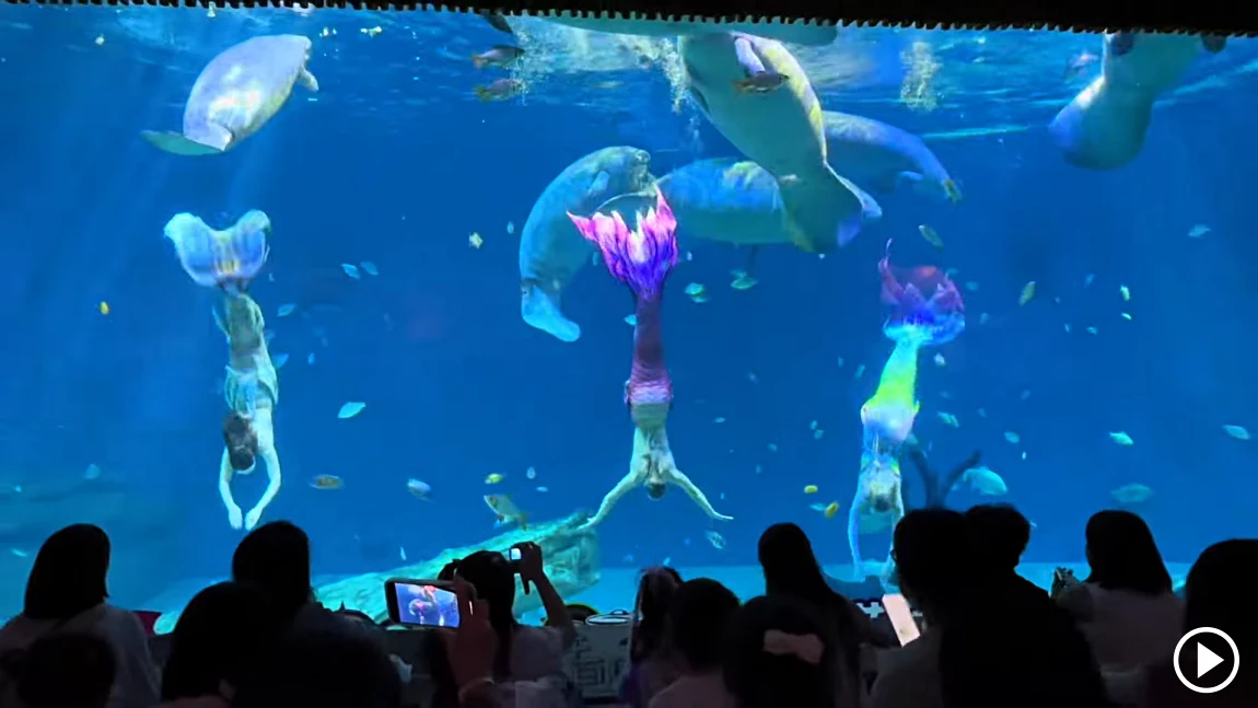 Mermaid Fantasy Show