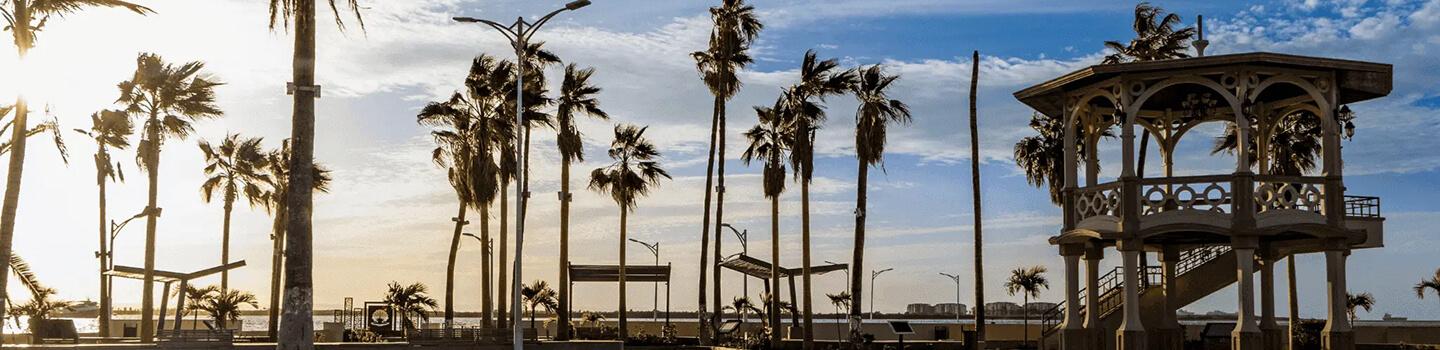 El mejor Roadtrip: Península de Baja California