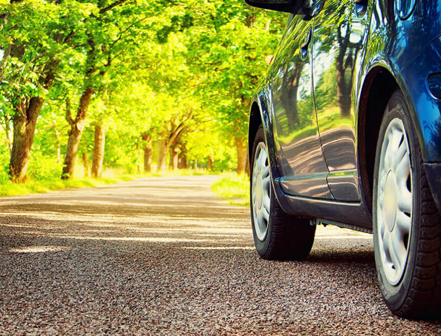 Comunidad y medio ambiente