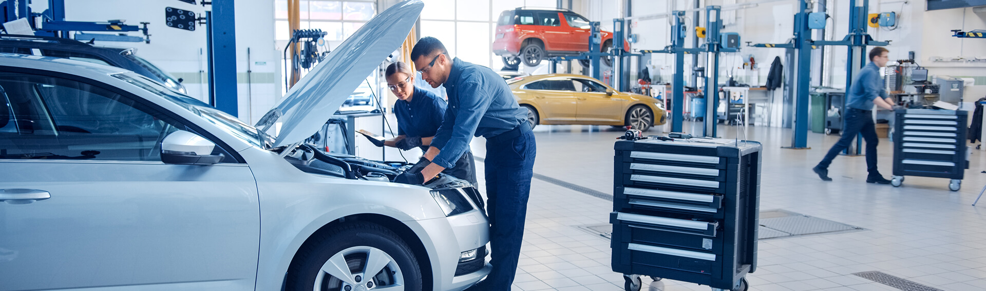 Descubrir Programa de Lealtad Enterprise Plus