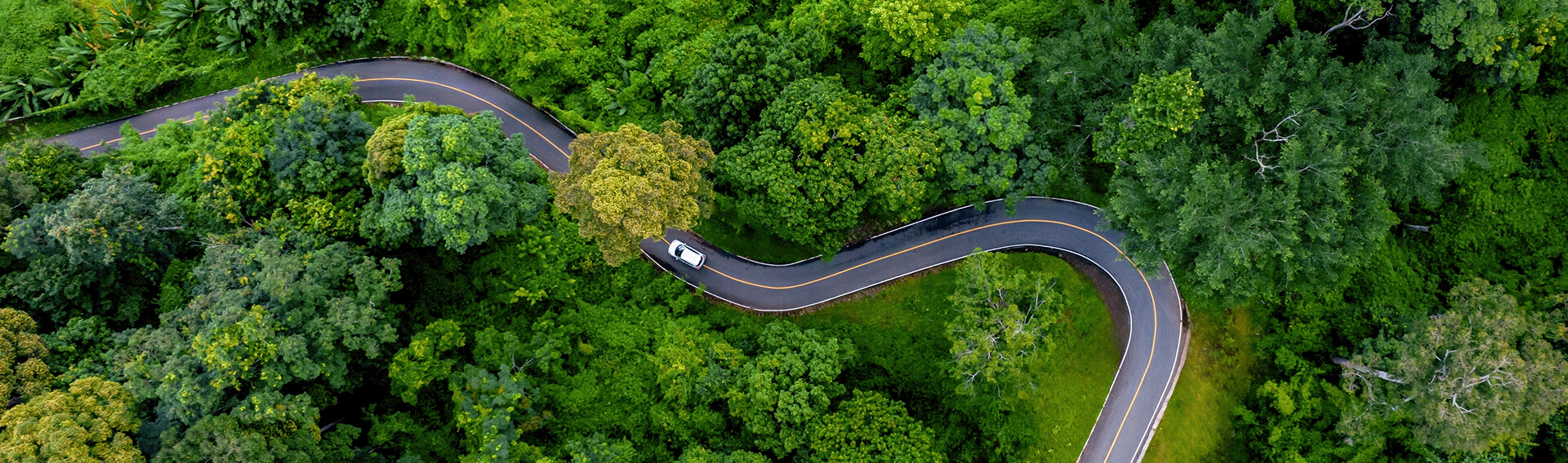 Preguntas frecuentes