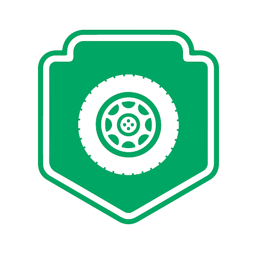 Inspección Visual de Cada Vehículo