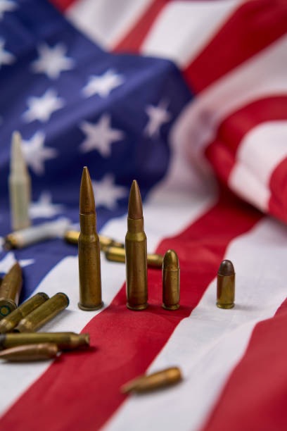 2ndamendment banner