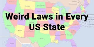 dumblawz