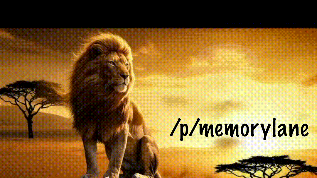 memorylane banner