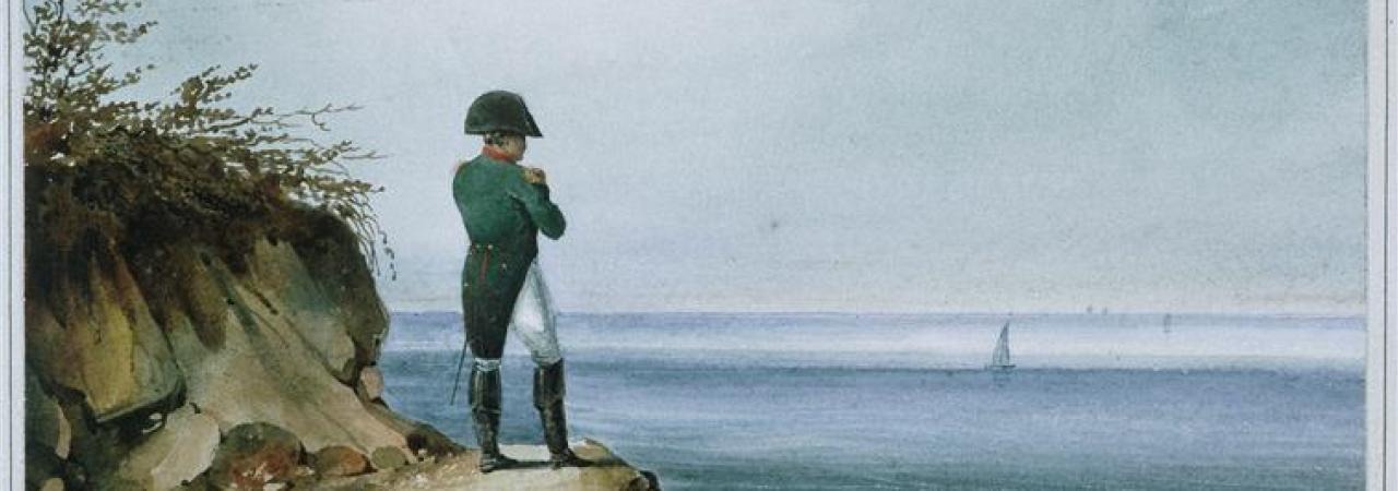 napoleon banner