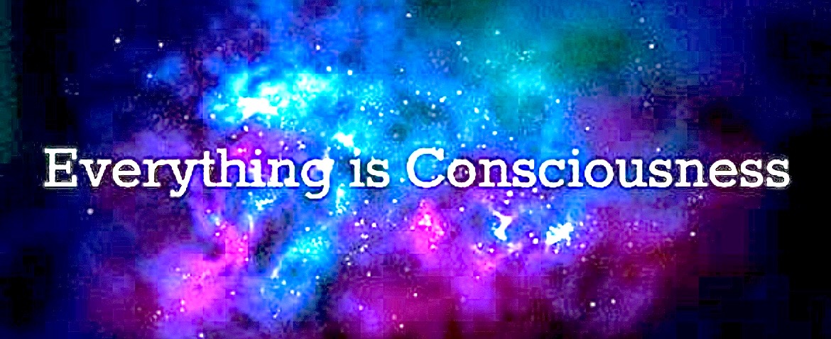 psychonauts banner