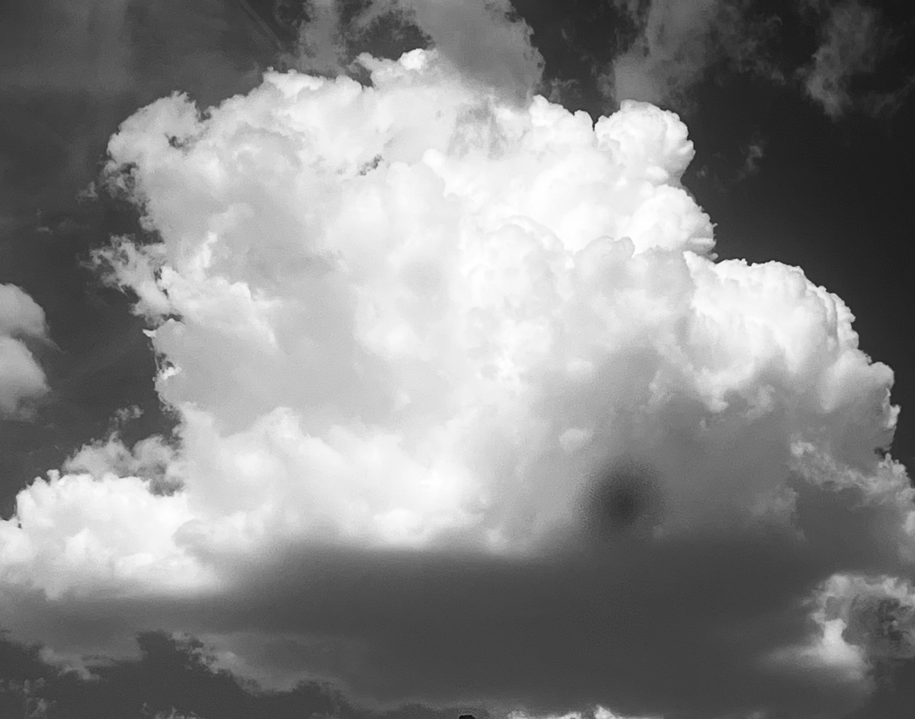 Profile banner
