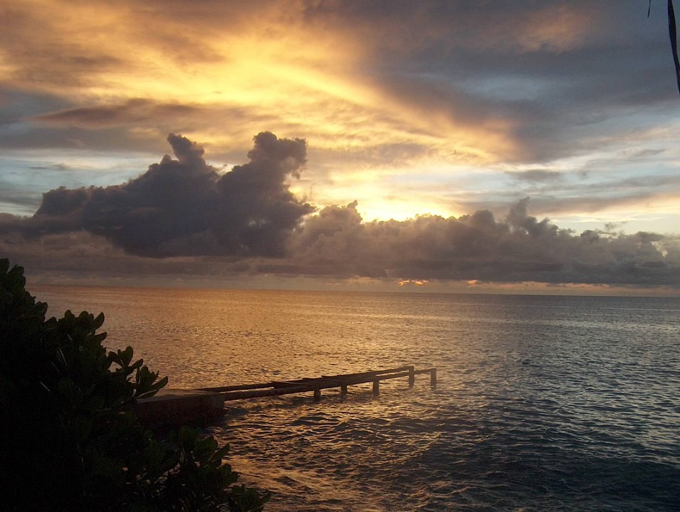 Profile banner