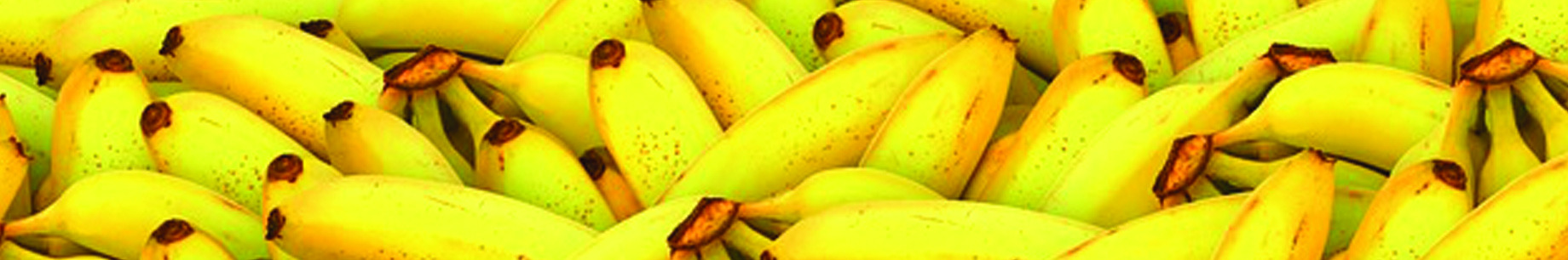 Profile banner