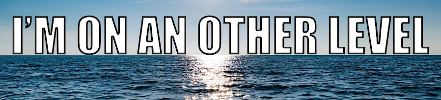 Profile banner