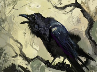 shadowraven903