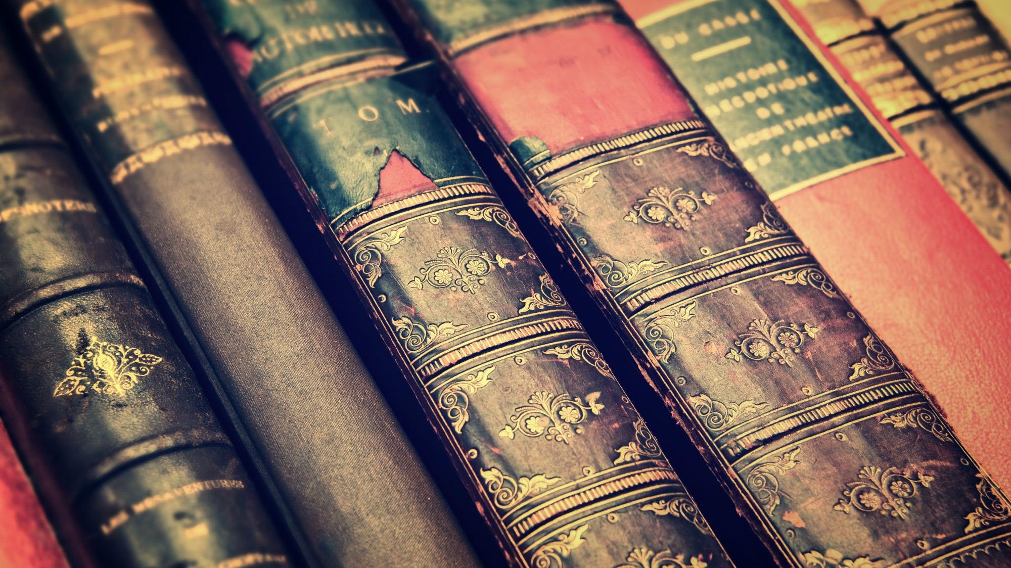 Profile banner