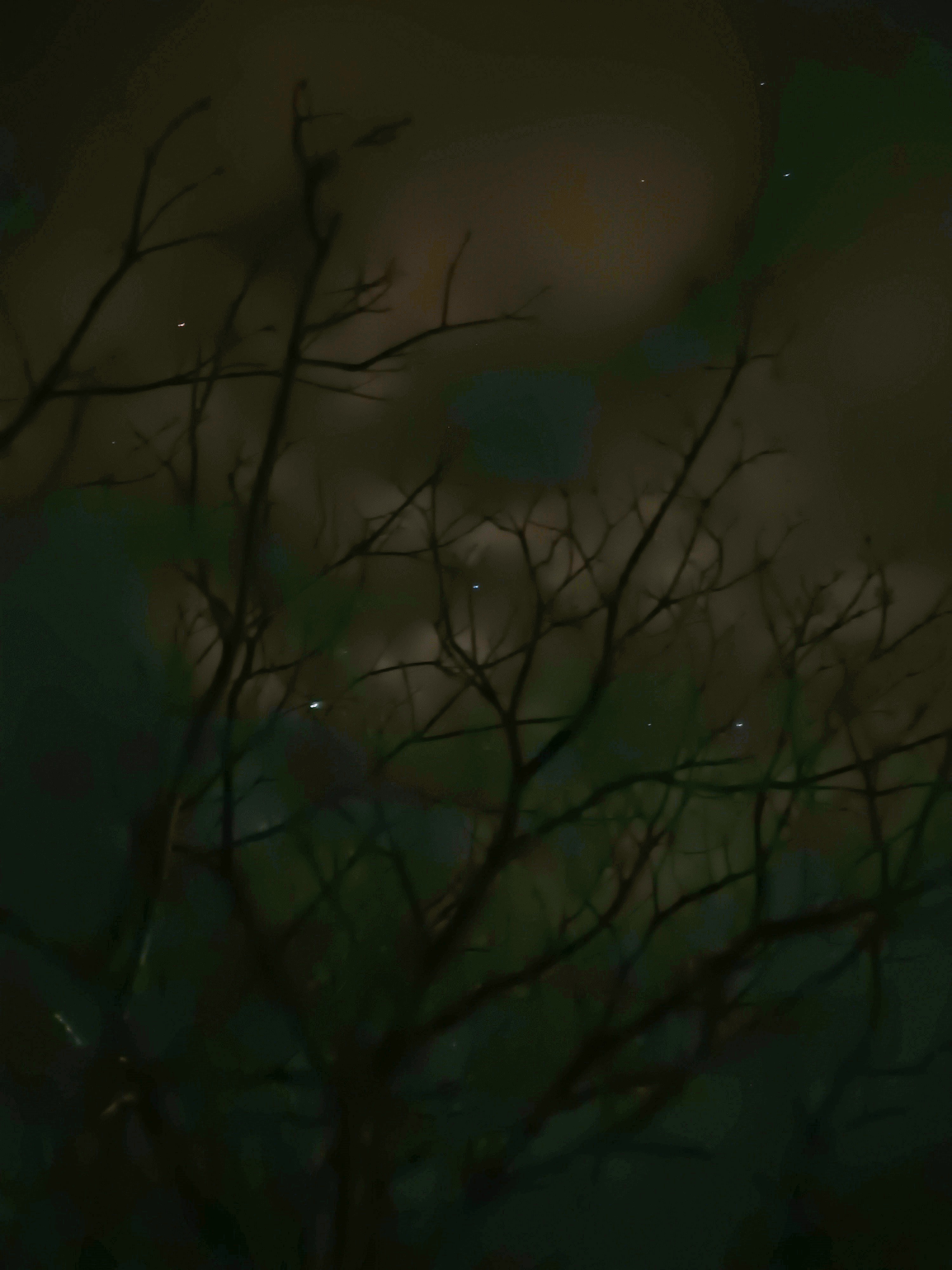 Profile banner