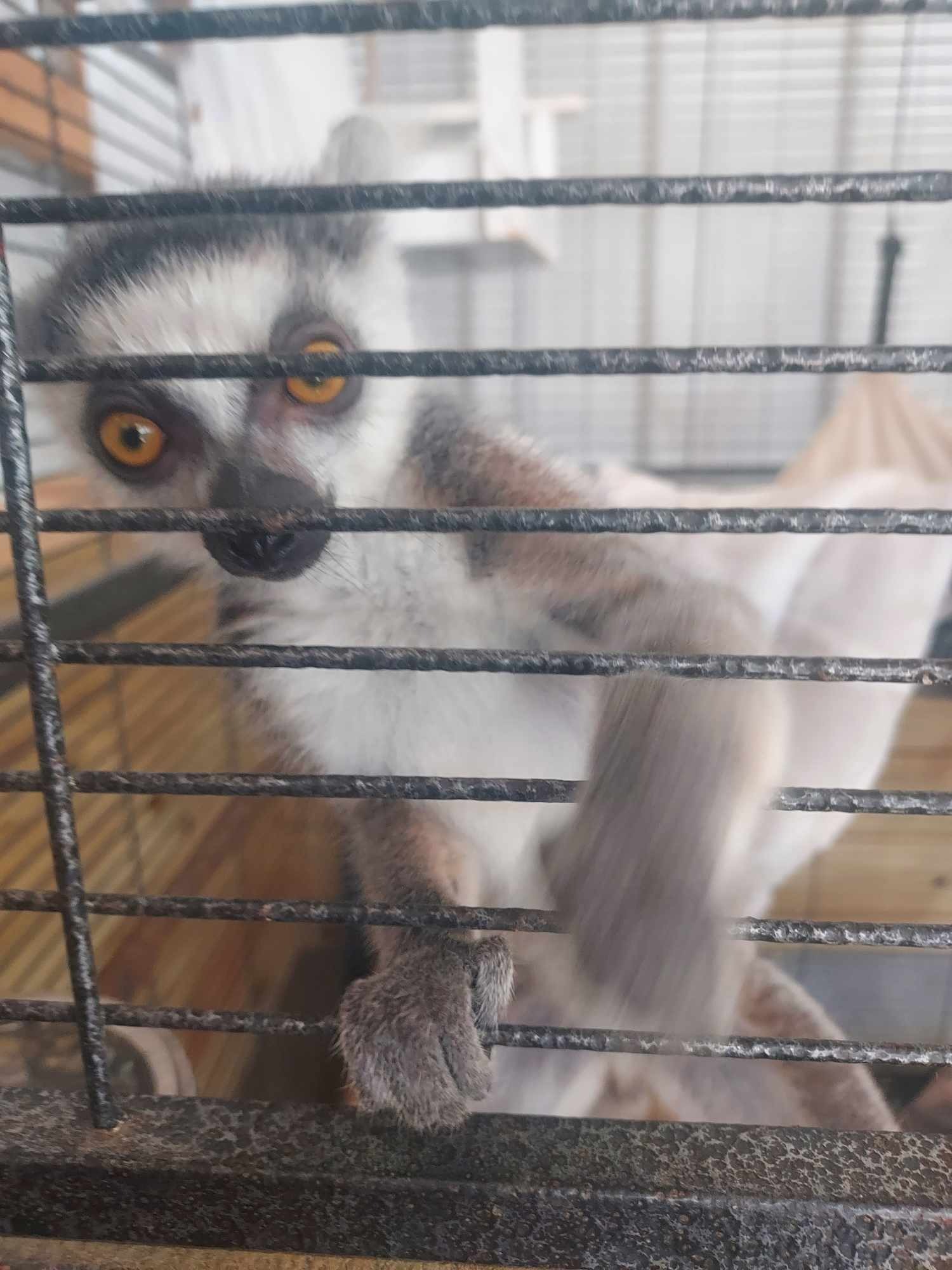 catbyrd1979