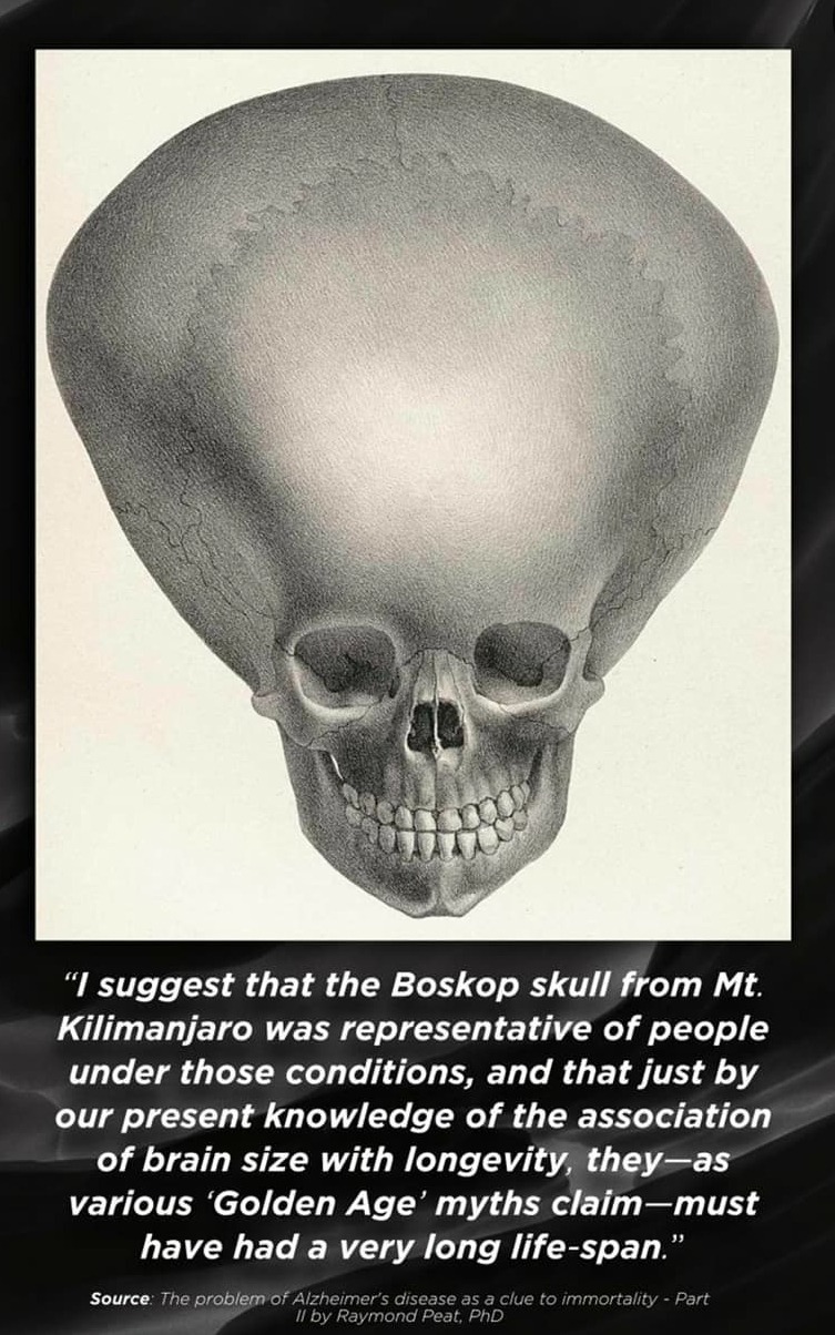 xoanpuox