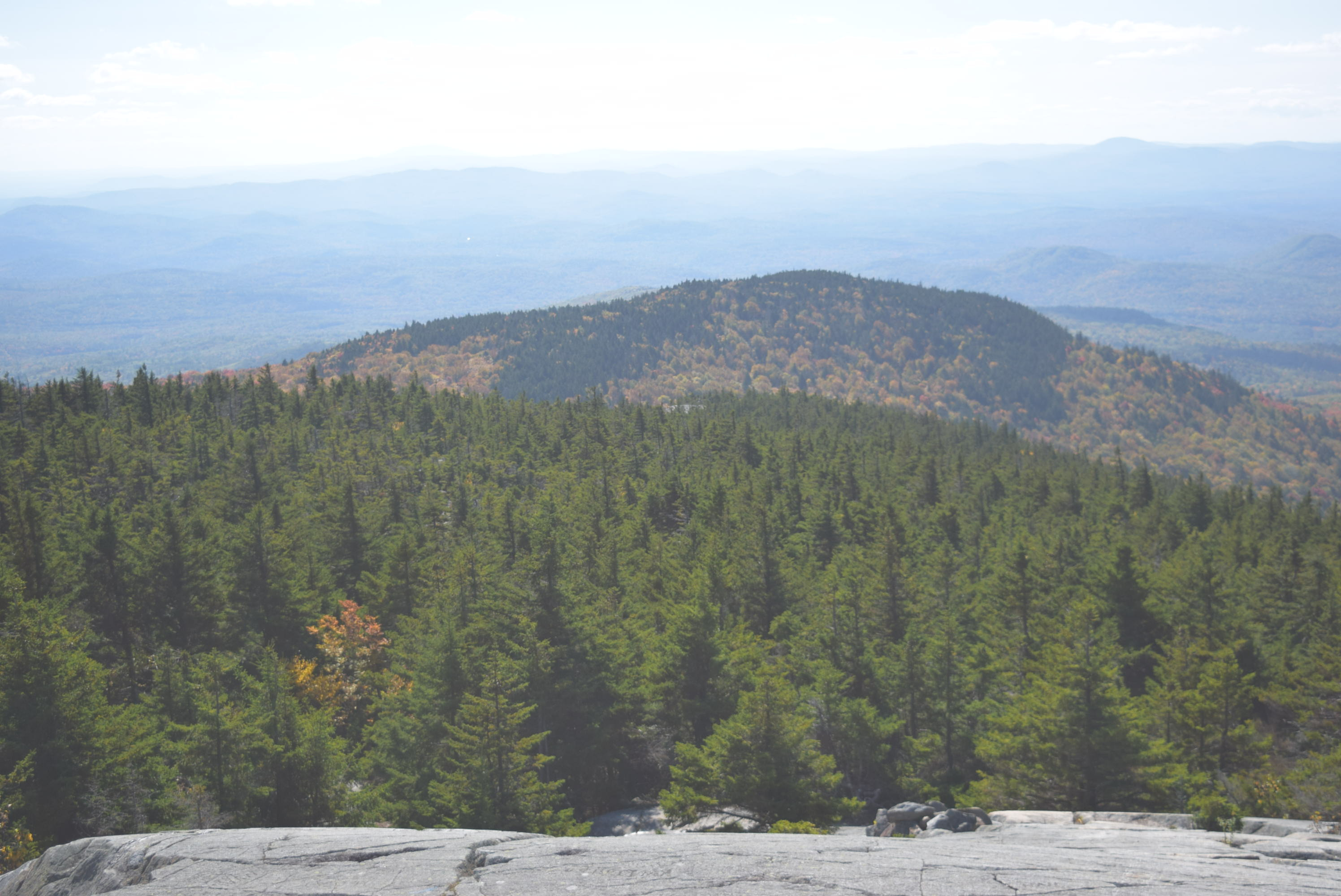Profile banner