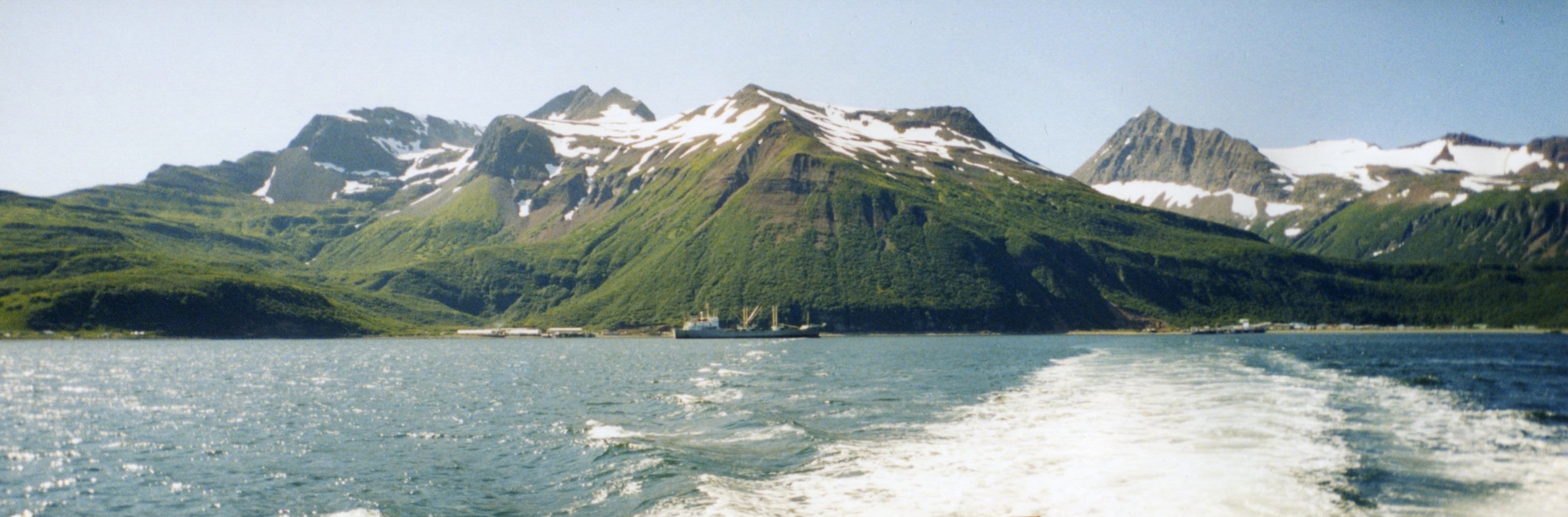 Profile banner