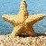 starofthesea