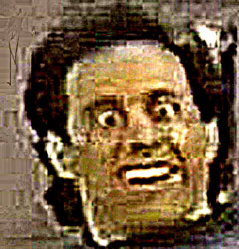 brunticus