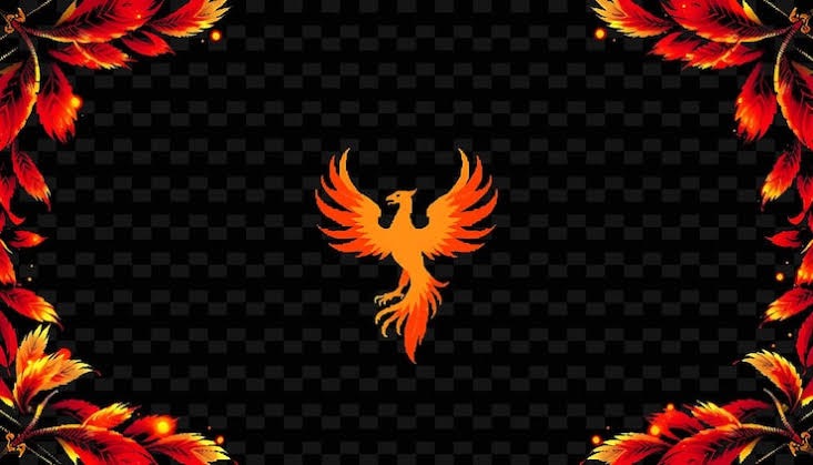 Profile banner