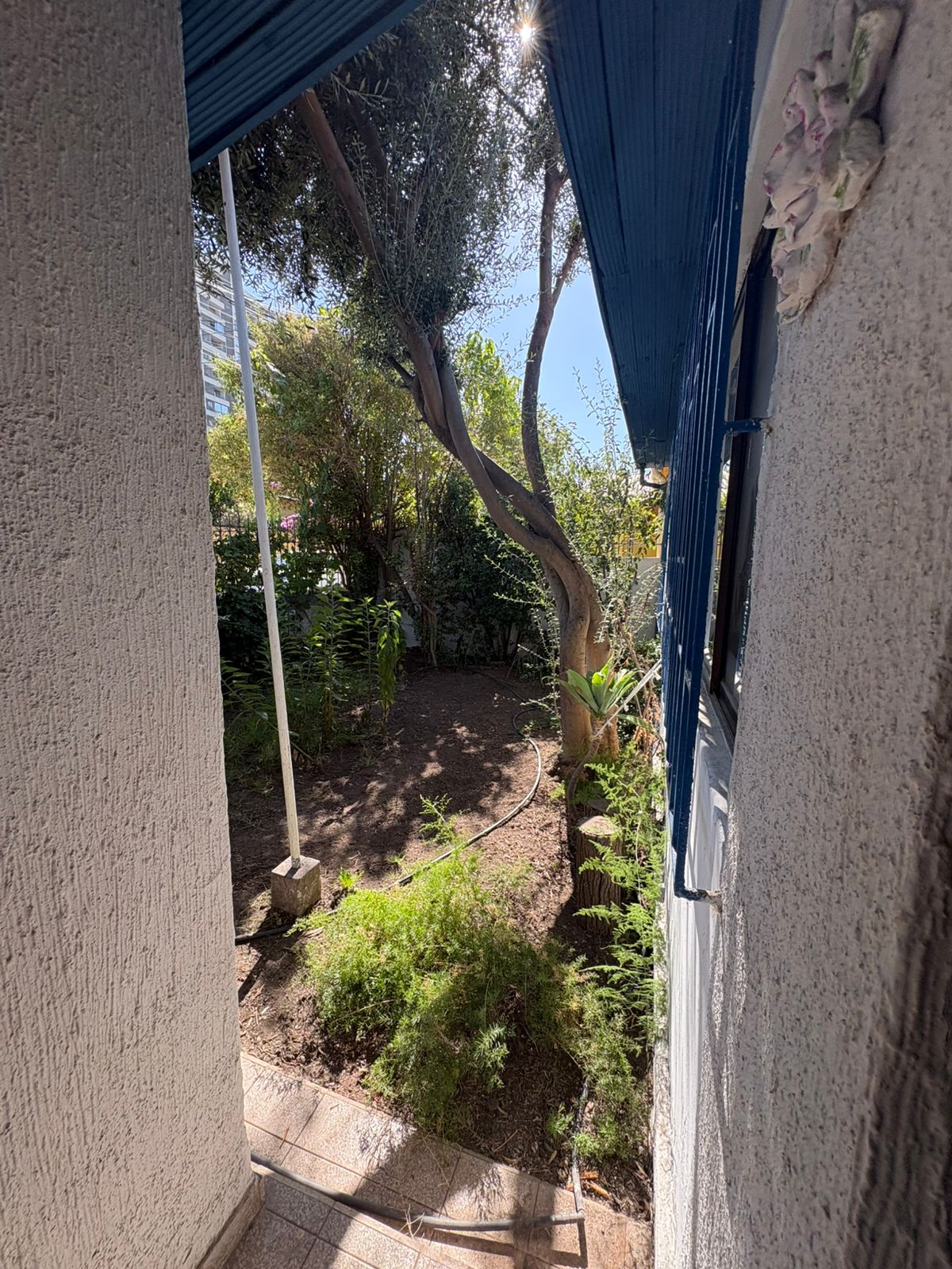 Casa con Piscina y Patios en Ñuñoa – Acceso Independiente - 19