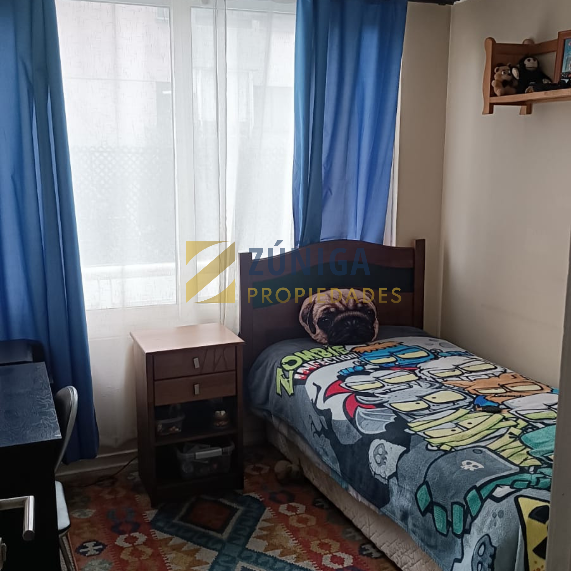 Amplio y luminoso departamento en venta Av. Pedro de Valdivia - 16